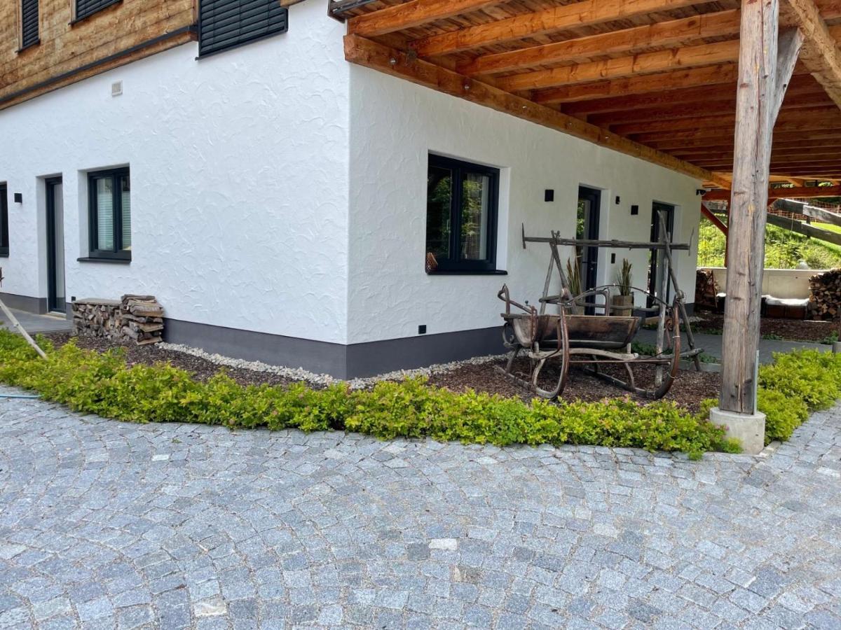 Schladminger Tauern Apartment ハウス・イム・エンスタール エクステリア 写真