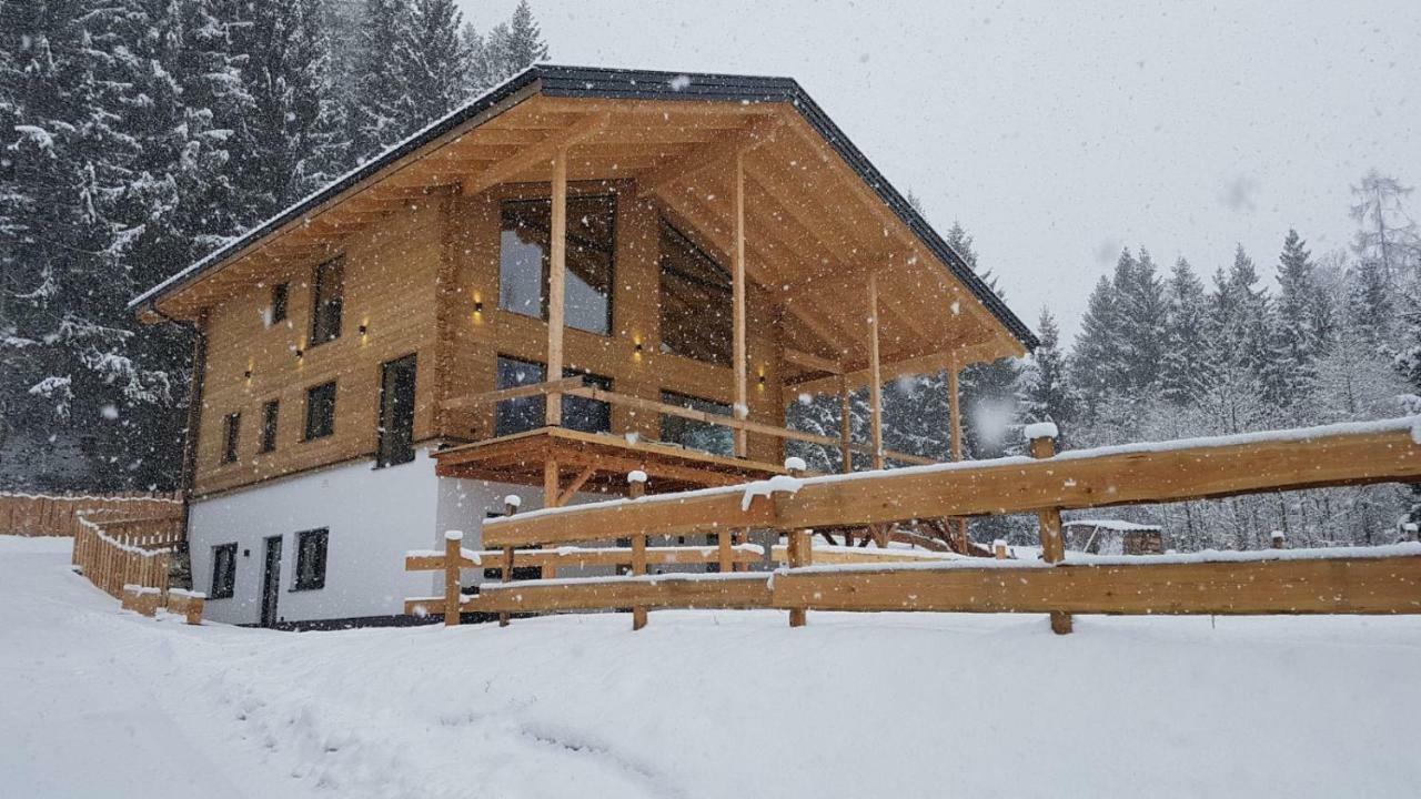 Schladminger Tauern Apartment ハウス・イム・エンスタール エクステリア 写真