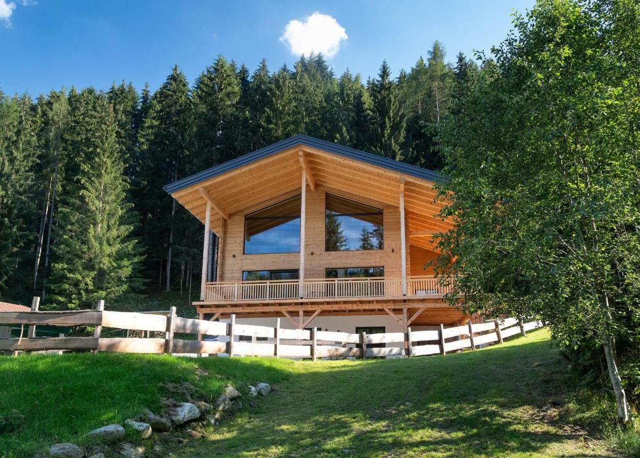Schladminger Tauern Apartment ハウス・イム・エンスタール エクステリア 写真
